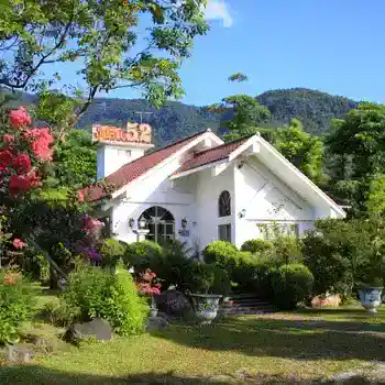 花蓮民宿鳳凰52廣植樹木的鄉村游泳池民宿