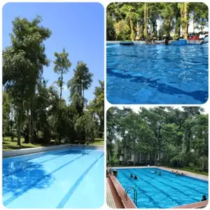 游泳池(英語:Swimming pool),簡稱為泳池,是游泳等水上運動的場地。多數游泳池建在地面,根據水溫可分為一般游泳池和溫水游泳池。 花蓮游泳池