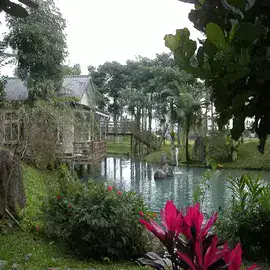 生態民宿充分享用寬廣空間追求環境生共榮為健康的民宿游泳池